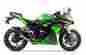 005-3890405-t Two Brothers Tarmac Carbon Slip On Exhaust Ninja 300 13-16
