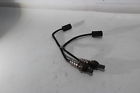 55211491a Ducati Oxygen Exhaust Set Gas Lambda Sensor