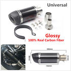 6454399913450 Unbranded Carbon Fiber Motorcycle Short Exhaust Muffler Pipe
