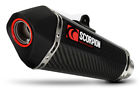 Rka113ceo Scorpion Exhaust Motorcycle Kawasaki Taper Carbon Fibre Can
