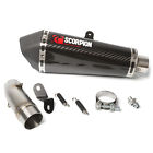 Rtr79ceo Scorpion Exhaust Serket Taper Carbon Fibre Triumph