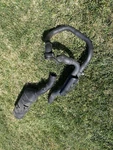 2000-07 Honda XR650R Exhaust Muffler Silencer Stock Oem Original. Fixed Price $325.00.