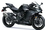 Kawasaki Ninja ZX-4R Abs 2025 Guard,fr 55020-2391. Fixed Price $122.46.