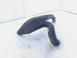 Buell XB12R Firebolt & XB12S Lightning Ulysses Exhaust Muffler Header Pipes. Fixed Price $279.95.