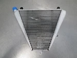 EB1331 2016 Ducati 959 Panigale Lower Radiator Water Cooler. Fixed Price $134.98.