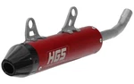 Gas Hgs Exhaust Red Carbon Cap Silencer Fits 2024 To 2025. Fixed Price $402.10.