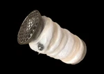 Voodoo Shorty Exhaust Phantom Baffle Core W/packing Vepc. Fixed Price $44.10.