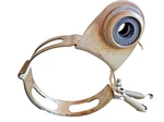 Oem 2008-2009 Bmw / Exhaust Bracket 7673115-03 Genuine. Fixed Price $49.99.