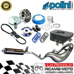 Maxi Kit Thermal Group 43 + Muffler Transmission Polini Piaggio Boss. Fixed Price $419.78.