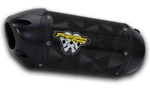 17-2025 Versys-x 300 Two Brothers S1R Carbon Fiber Slip Exhaust Black Series. Fixed Price $577.00.