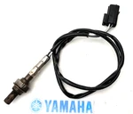 Triumph Daytona 955I X1 Hydro Lambda Sensor Shown 2001 - 2006. Fixed Price $50.24.