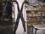1984 Yamaha Kenny Roberts Exhaust Pipes ...L-10. Fixed Price $200.00.