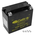 Agm Battery For Harley Davidson XLH1200C XLH1200S Sportster. Fixed Price $68.00.