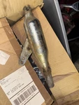 69-71 Honda Z50 Mini Trail Oem Exhaust Muffler, 183A1-045-671. Fixed Price $99.00.