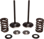 Moose Offroad Valve And For Spring Kit Exhaust Honda M30-34260. Fixed Price $186.95.