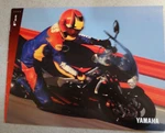 1994 Yamaha FRZ600 FZR1000 8-PAGE Brochure-supersport LIT-11111-02-94. Fixed Price $14.95.