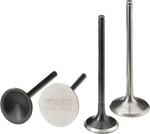 Moose Racing 0926-3193 Exhaust Valve Kit. Fixed Price $196.95.