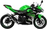 Leovince 3389U Gp Corsa Slip-on Muffler Ninja 400/500. Fixed Price $271.76.