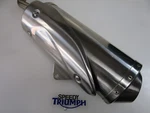 Triumph Tiger 1050 Exhaust Silencer 2007-2012 T2200372. Fixed Price $109.03.