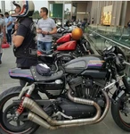Exhaust For Harley Davidson Sportster XR1200 Curved Muffler Into. Fixed Price $615.35.