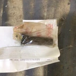 New Genuine Kawasaki 18048-015 Tail Piece F6 F7 G5 Enduro 175E 125E. Fixed Price $21.99.