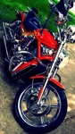 New Engine Guard Crash Bar Highway For Harley V-rod Muscle Vrscf 02 2017 49267. Fixed Price $128.00.