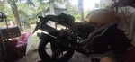 Exhaust Triumph Daytona T595 955I Speed Triple. Fixed Price $470.96.