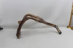 Triumph Sprint 955I 2000 Oem Exhaust Headers Pipe Muffler Collector. Fixed Price $124.99.