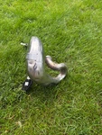 2014- 2018 Yz 250 Header Pipe. Fixed Price $100.00.